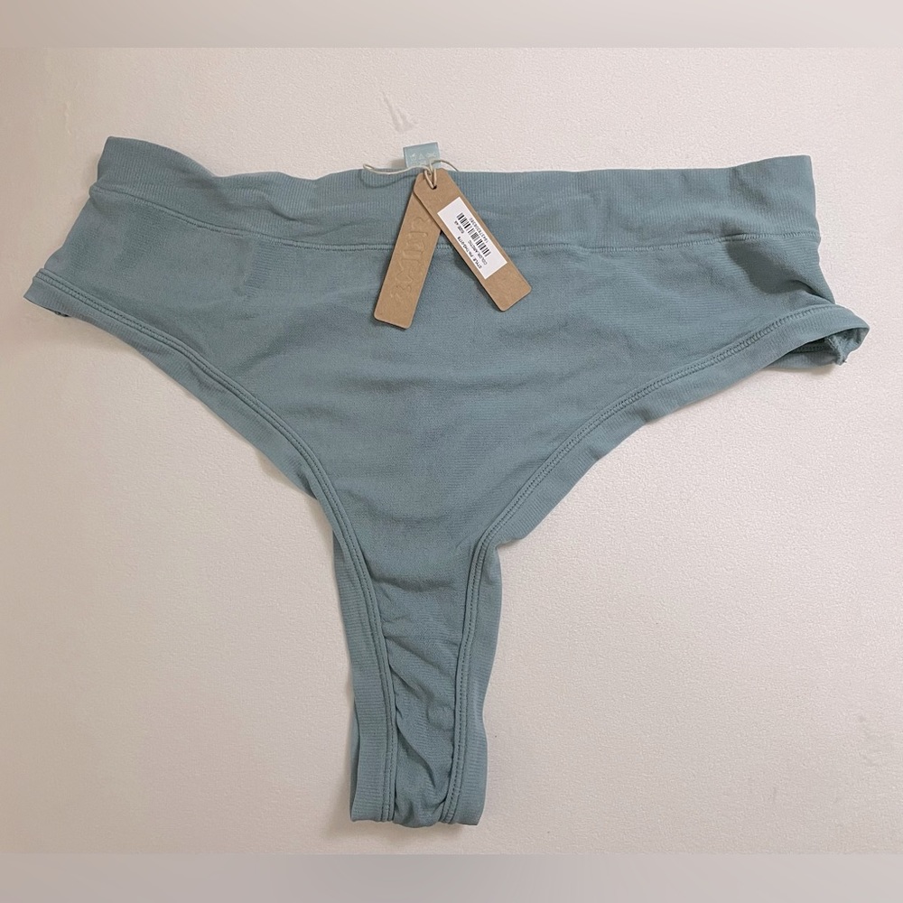 NWT Skims Panties Thongs Arctic Color Size 4X